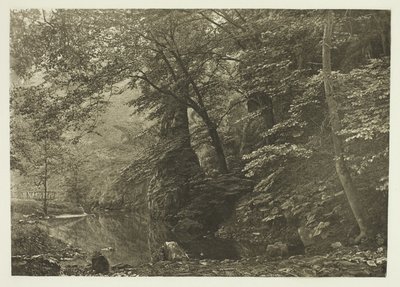 "Pike Pool" (odspodu) od Peter Henry Emerson