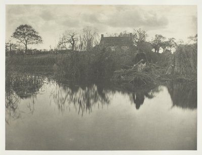 Kvantifikace Gladdonu od Peter Henry Emerson