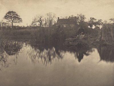 Posunování loďky bidlem na Gladdonu od Peter Henry Emerson