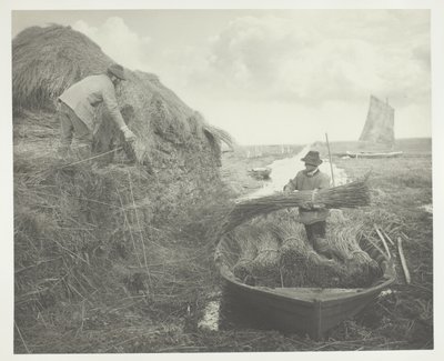 Ricking the Reed od Peter Henry Emerson