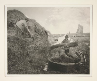 Ricking the Reed od Peter Henry Emerson