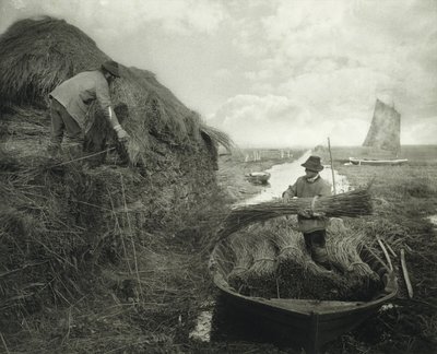 Ricking the Reed, cca 1885 (platinový tisk) od Peter Henry Emerson