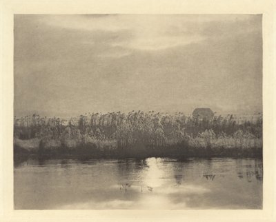 Rime Crystals, v roce 1895 nebo dříve (foto) od Peter Henry Emerson