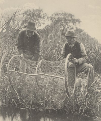 Nastavení sítě Bow-Net od Peter Henry Emerson