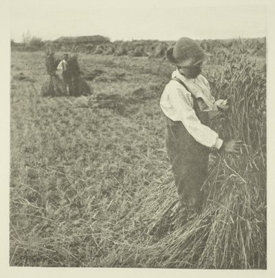 Šokující kukuřice (Norfolk) od Peter Henry Emerson