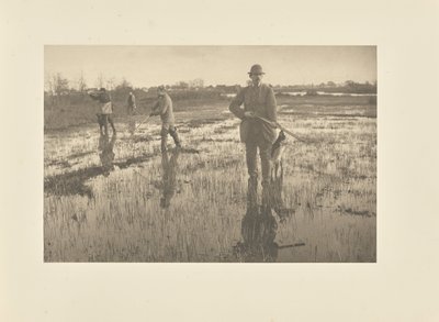  od Peter Henry Emerson