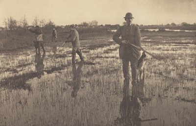  od Peter Henry Emerson