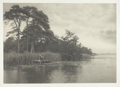 Haunt of the Pike od Peter Henry Emerson