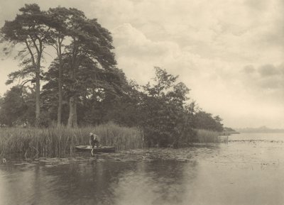  od Peter Henry Emerson
