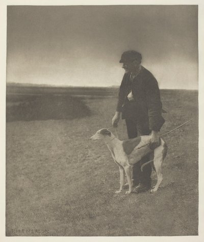 Pytlák - Zajíc v pohledu, (Suffolk) od Peter Henry Emerson