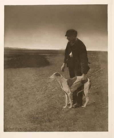 Pytlák - Zajíc v zorném poli od Peter Henry Emerson