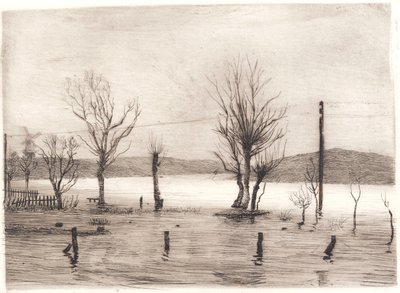 Zimní krajina v Tyreholmu od Peter Vilhelm Ilsted