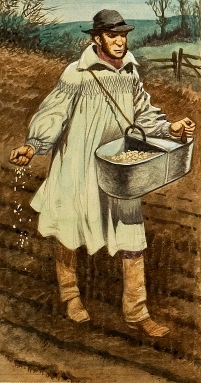Setí od Peter Jackson