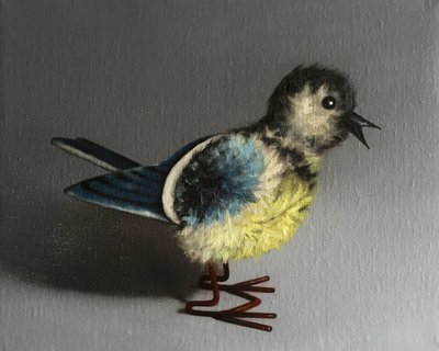 Sýkora modřinka, 2016 od Peter Jones