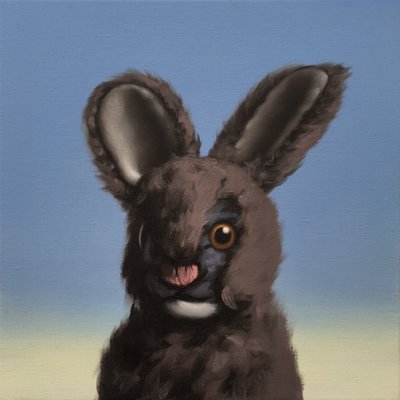 Zajíček, 2017 od Peter Jones