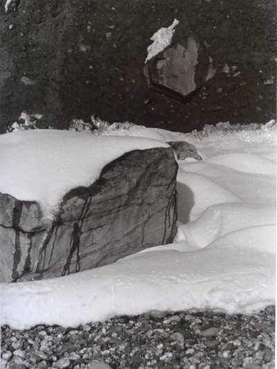ROČNÍK ČB FOTO č.3, 1985, (FOTOGRAFIE) od Peter McClure