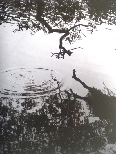 VINTAGE B&W PHOTO No.5, 1986, (FOTOGRAFIE) od Peter McClure