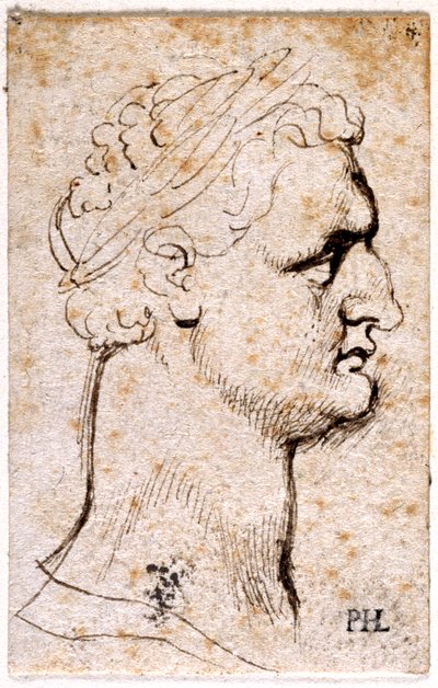 Domitian, z deseti kreseb osmi z prvních dvanácti Caesarů, po medailích Giovanniho da Cavina (pero a inkoust na papíře) od Peter Paul Rubens
