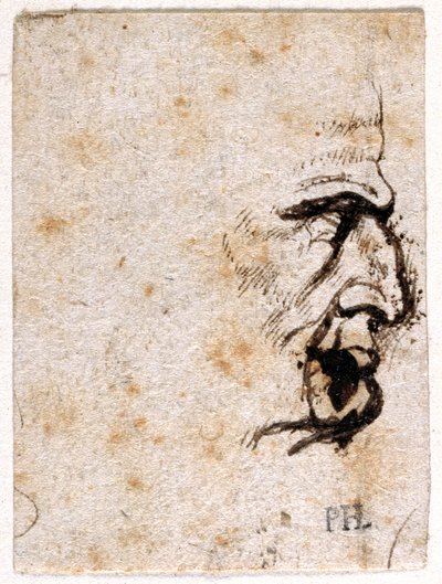 Galba, z deseti kreseb osmi z prvních dvanácti Caesarů, po medailích Giovanniho da Cavina (pero a inkoust na papíře) od Peter Paul Rubens