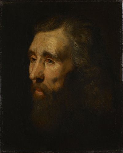 Hlava vousatého muže od Peter Paul Rubens