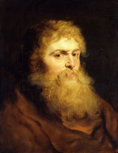 Hlava vousatého muže, od Peter Paul Rubens