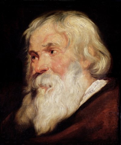 Hlava starého muže od Peter Paul Rubens