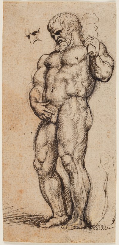 Herkules od Peter Paul Rubens