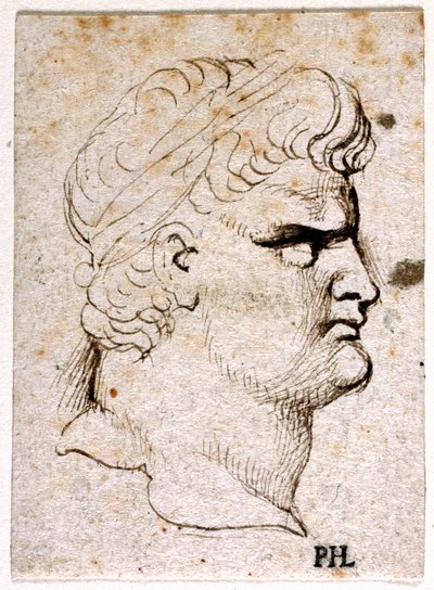 Nero, z deseti kreseb osmi z prvních dvanácti Caesarů, po medailích Giovanniho da Cavina (pero a inkoust na papíře) od Peter Paul Rubens