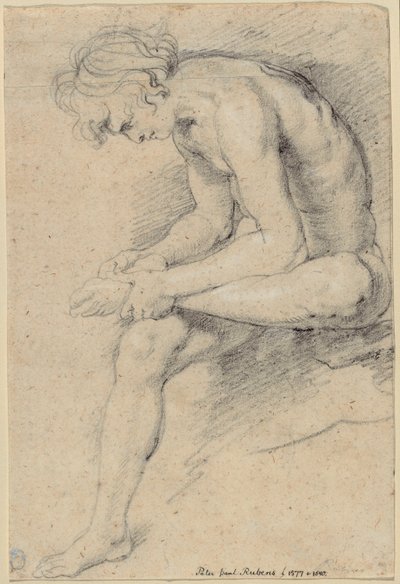 Nahá mládež v póze Spinaria od Peter Paul Rubens