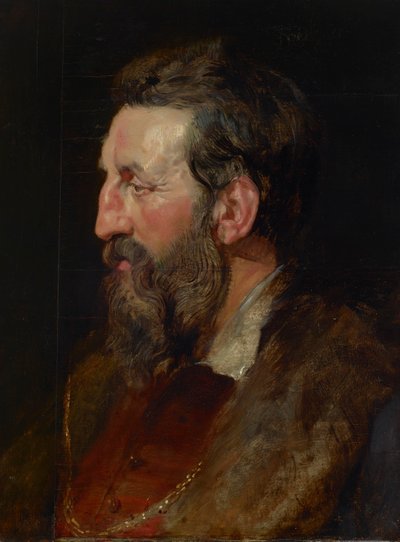 Portrét muže od Peter Paul Rubens