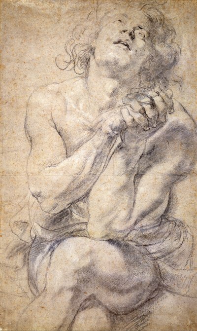 Sedící mužská mládež (studie pro Daniela) od Peter Paul Rubens
