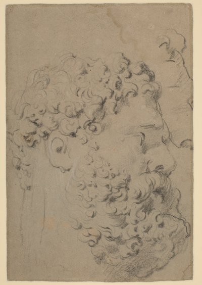 Studie hlavy a profilu Farnese Hercules viděné z nižšího pohledu od Peter Paul Rubens
