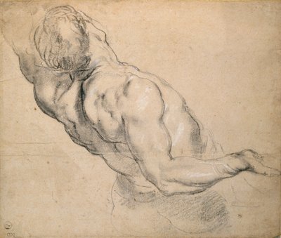 Studie torza nahého muže, 1600-1640 od Peter Paul Rubens