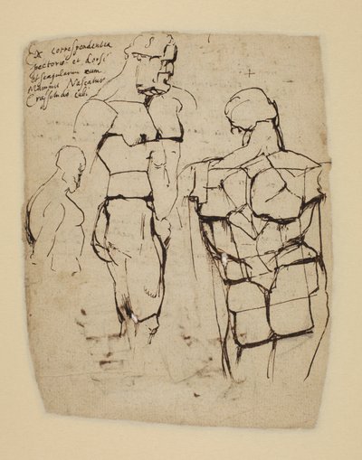 Studie Farnese Herkula od Peter Paul Rubens