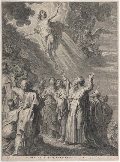  od Peter Paul Rubens