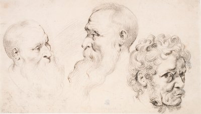  od Peter Paul Rubens