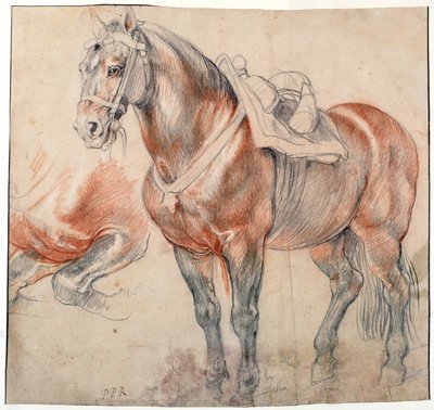 Závěsný od Peter Paul Rubens