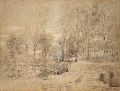 Woodland Scene, začátek 17. století od Peter Paul Rubens