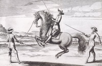 Ilustrace koně en Croupade z New Treatise for Breeding Horses od Winters, Stuterey a Reit-Schul, pub. 1672 od Peter Paul Troschel