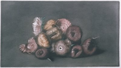 Zátiší ze sušených květin (barevná mezzotinta) od Peter Vilhelm Ilsted