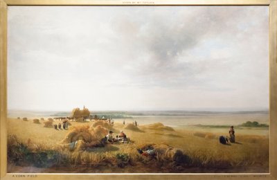 Maissipelto od Peter de Wint