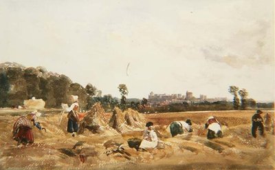 PD.129-1950 Cornfield, Windsor od Peter de Wint