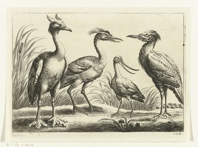 Čtyři brodiví ptáci Diversarum avium species (název série) Různí ptáci (název série) od Peter van Liesebetten