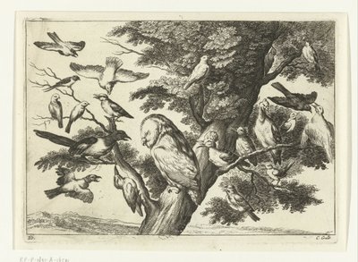 Ptáci na stromě Diversarum avium species (název série) Různí ptáci (název série) od Peter van Liesebetten