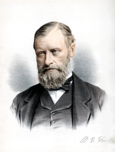 William Edward Forster, britský liberální politik, c1890. od Petter and Galpin Cassell