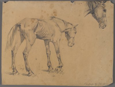 Kůň a hlava koně (grafit na papíře) od Philip H. Wolfrom
