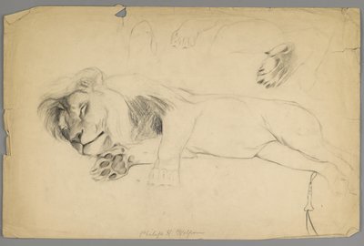 Spící lev (grafit na papíře) od Philip H. Wolfrom