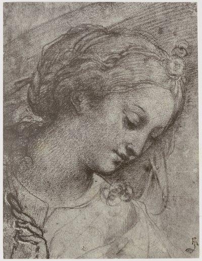 Carlo Dolci, hlava Panny od Philip Henry Delamotte