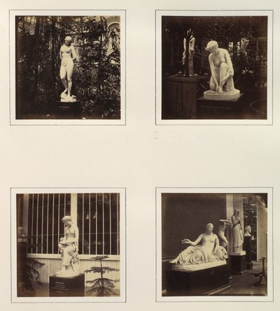 [Sochy Andromedy, Toilet of Atalanta, Corinna a Naiad], ca. 1859. od Philip Henry Delamotte.