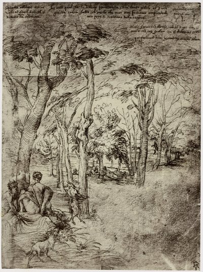 Titiaan, Návrh pro obrázek od Philip Henry Delamotte